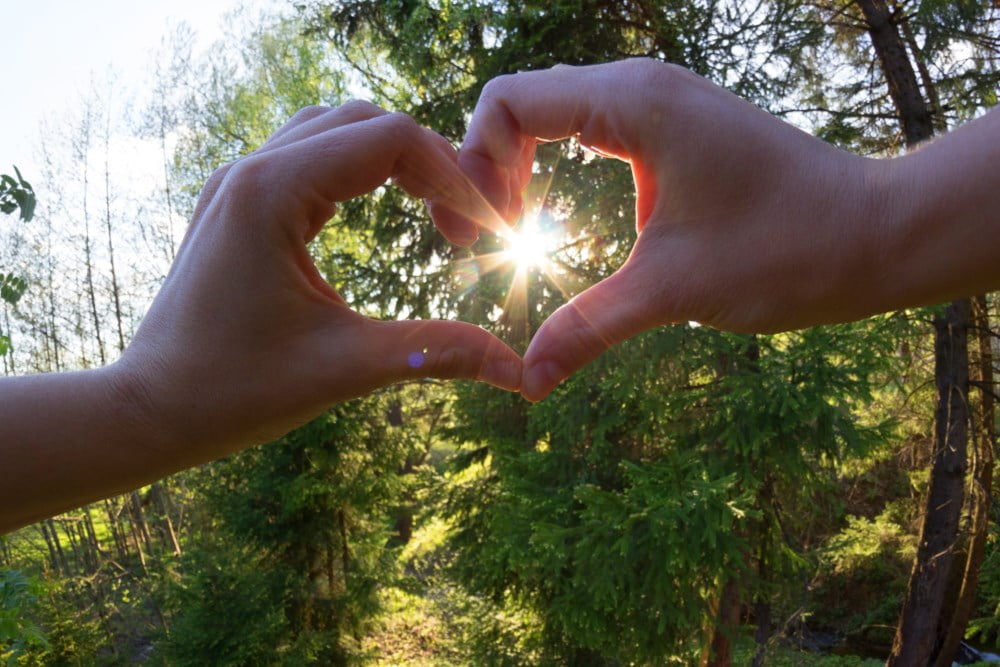 Hender formet som et hjerte